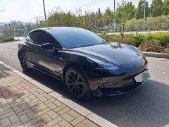 Tesla Model 3 Rear-Wheel Drive - ფოტო 8