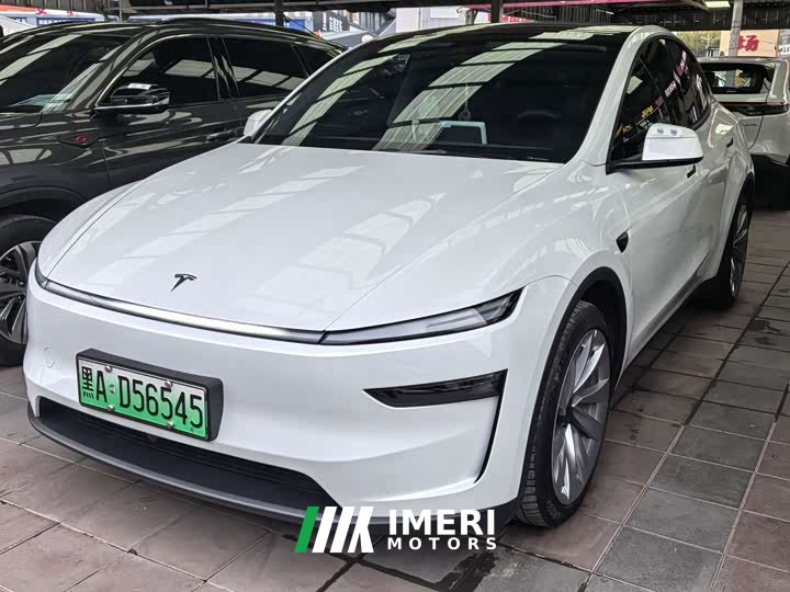 Tesla Model Y Rear-Wheel Drive
