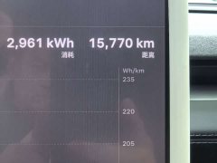 Tesla Model Y Rear-Wheel Drive - ფოტო 11