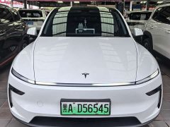 Tesla Model Y Rear-Wheel Drive - ფოტო 2