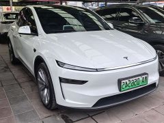 Tesla Model Y Rear-Wheel Drive - ფოტო 3