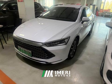 2024 BYD Qin PLUS Glory Edition DM-i 55KM Leading