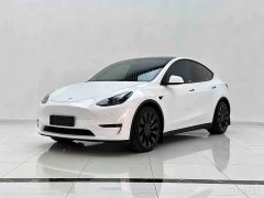 Tesla Model Y 2021 Performance All-Wheel Drive - ფოტო 1