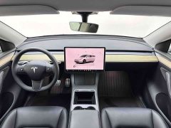 Tesla Model Y 2021 Performance All-Wheel Drive - ფოტო 10