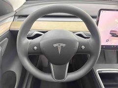 Tesla Model Y 2021 Performance All-Wheel Drive - ფოტო 11