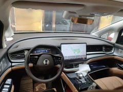 Denza BYD Denza D9 2024 DM-i 1050 Premium - ფოტო 10