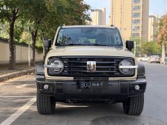 Tank 300 New Energy 2025 Hi4-T 37.1kWh - ფოტო 2
