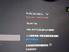Tesla Model Y 2022 Performance All-Wheel Drive - ფოტო 13