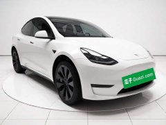 Tesla Model Y 2022 Performance All-Wheel Drive - ფოტო 3