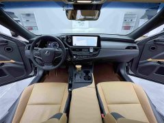 Lexus ES 2022 300h Excellence Edition - ფოტო 11