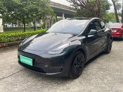 Tesla Model Y Long Range All-Wheel Drive - ფოტო 1