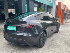 Tesla Model Y Long Range All-Wheel Drive - ფოტო 13