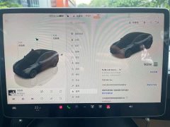 Tesla Model Y Long Range All-Wheel Drive - ფოტო 9