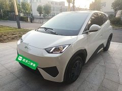 BYD Seagull Smart Drive 305km Vitality Edition - ფოტო 1