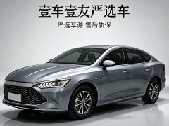 BYD Qin PLUS Glory Edition DM-i 55KM Leading - ფოტო 1