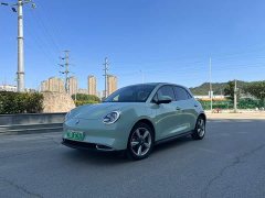 ORA Good Cat 2021 500km Long Range Apollo Edition Ternary Lithium Battery - ფოტო 1