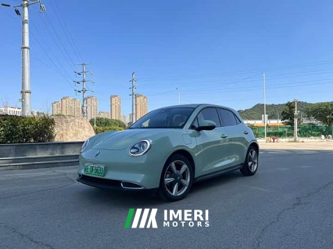 2022 ORA Good Cat 2021 500km Long Range Apollo Edition Ternary Lithium Battery - ავტომობილი ჩინეთიდან