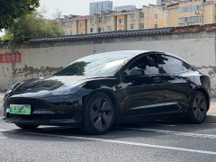 Tesla Model 3 Rear-Wheel Drive - ფოტო 1
