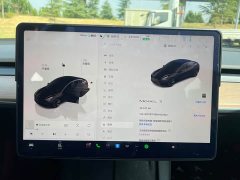 Tesla Model 3 Rear-Wheel Drive - ფოტო 13