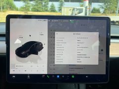 Tesla Model 3 Rear-Wheel Drive - ფოტო 14