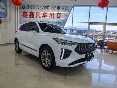 Haval Chitu 1.5T Excellence - ფოტო 3