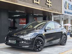 Tesla Model Y 2021 Standard Range RWD - ფოტო 1