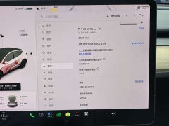 Tesla Model Y 2021 Standard Range RWD - ფოტო 16