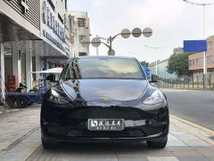 Tesla Model Y 2021 Standard Range RWD - ფოტო 2