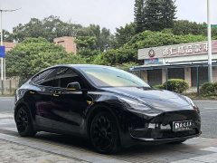Tesla Model Y 2021 Standard Range RWD - ფოტო 3