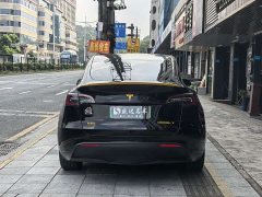 Tesla Model Y 2021 Standard Range RWD - ფოტო 5