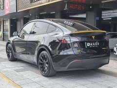 Tesla Model Y 2021 Standard Range RWD - ფოტო 6