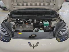 Wuling Binguo 333km Joy Edition - ფოტო 19