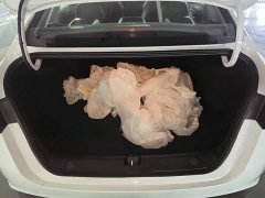 Geely Binrui 2024 Binrui COOL 1.5T DCT Dragon Ascend Edition - ფოტო 14