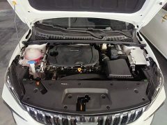 Geely Binrui 2024 Binrui COOL 1.5T DCT Dragon Ascend Edition - ფოტო 15