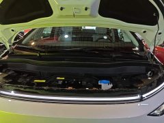 XPeng X9 702 Ultra-Long Range Max - ფოტო 19