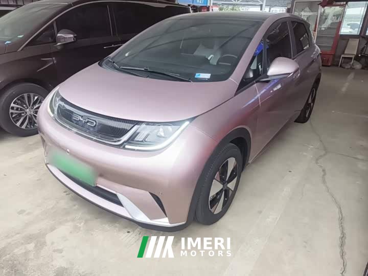 BYD Dolphin 2023 420km Fashion Edition - ავტომობილი ჩინეთიდან