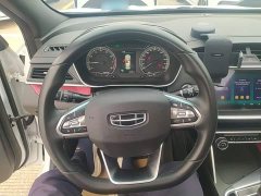 Geely Binrui 1.4T CVT F-Sport Edition - ფოტო 10