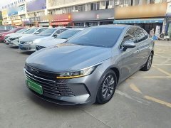 BYD Destroyer 05 Champion Edition DM-i 55KM Luxury - ფოტო 1