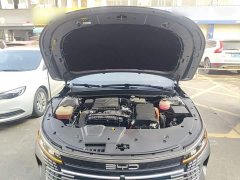 BYD Destroyer 05 Champion Edition DM-i 55KM Luxury - ფოტო 19