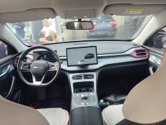 BYD Destroyer 05 Champion Edition DM-i 55KM Luxury - ფოტო 9