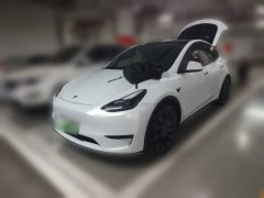 Tesla Model Y Rear-Wheel Drive - ფოტო 1