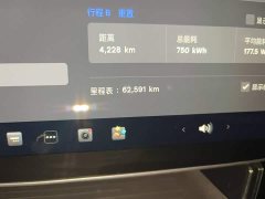 Tesla Model Y Rear-Wheel Drive - ფოტო 4