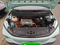 Geely Geometry E Firefly 320KM Cute Tiger 5-Seater - ფოტო 19