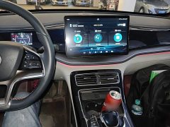 BYD Qin Plus 2021 DM-i 120KM Flagship - ფოტო 9