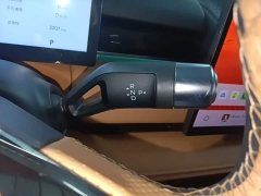 Geely Galaxy Xingyao 8 130km EM-P Starship Edition - ფოტო 13