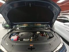 Geely Galaxy Xingyao 8 130km EM-P Starship Edition - ფოტო 19