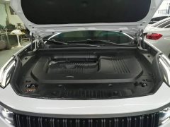 Lynk & Co 09 EM-P 2021 2.0T PHEV Ultra 7-Seater - ფოტო 19
