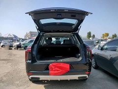 Nissan Raize 2020 260T Automatic 48V Mild Hybrid Turbo Star Enjoy Edition - ფოტო 18