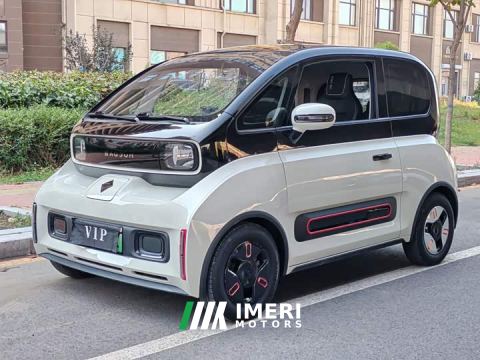 2022 Baojun KiWi EV Designer Ternary Lithium