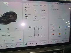 Li Auto L8 Pro - ფოტო 11
